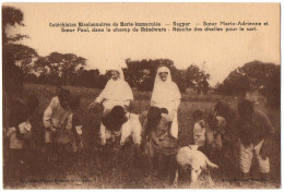 CPA INDE - NAGPUR . Récolte Des Dhalles Pour Le Cari (chindwara)- Catéchistes Missionnaires De Marie Immaculée - Indien