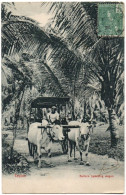 CPA SRI LANKA - CEYLON - Bullock Travelling Wagon -Ed. Plâté & Co - Sri Lanka (Ceylon)