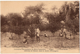 CPA INDE - NAGPUR. A La Poor-House. Infirmes Au Travail (orangers) - Catéchistes Missionnaires De Marie Immaculée - Indien