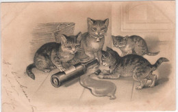 4 Chats- Cats -katzen- Poezen En Fles Wijn - Cats