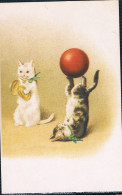 Chats - Cats -katzen - Poezen Spelen Met Bal  -repro - Katzen