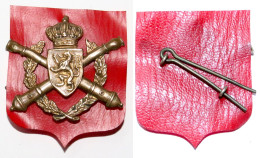 Militaria-BE-terre-insigne_école D'artillerie_doré_21-04-1 - Landmacht