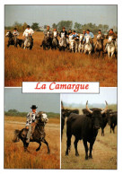 CPM - CHEVAL - CAMARGUE - Gardians ... Editions Du Soleil D.Paysan - Caballos