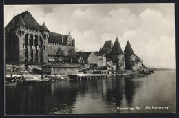 AK Marienburg / Malbork, Blick Auf Die Marienburg  - Westpreussen