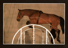 CPM - CHEVAL - École Nationale D'Équitation - Le Cadre Noir De Saumur - Edition AS De Coeur - Caballos