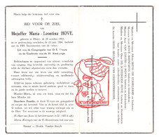 DP Juff. Maria Leontina Hove ° Mater Oudenaarde 1883 † 1964 De Stabelaere Browaeys Van Coster De Scheerder Bécaus - Images Religieuses
