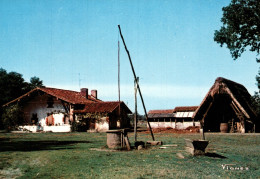 CPM - FERME - Visage Des LANDES - Ferme Landaise ... Edition Vignes - Bauernhöfe