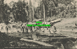 R598972 West Africa. Forest Products. Floating Logs To Railhead. Imperial Instit - Monde