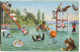 Vermenschlichte Katzen - Im Schwimmbad - No. 4695 Edition Max Künzli Zürich 6 - Cómics