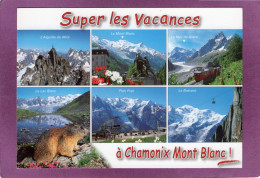 74 Super Les Vacances à Chamonix Mont Blanc Multivues Découverte De La Haute Montagne Au Cœur De L'été  Marmotte - Chamonix-Mont-Blanc
