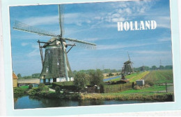 Greetings From Holland - Stamped Postcard   - L Size 17x12cm  - LS3 - Other & Unclassified