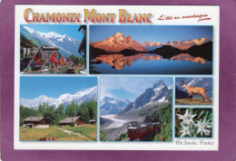 74 Le Pays Du Mont Blanc  Chamonix Mont Blanc Multivues A La Découverte De Sites Grandioses Au Cœur De L'été - Chamonix-Mont-Blanc