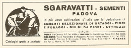 Sementi Sgravatti - Padova - Pubblicità Del 1942 - Old Advertising - Reclame