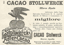 Cacao Stollwerck Marca Aquila - Pubblicità Del 1903 - Old Advertising - Werbung