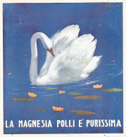 Magnesia POLLI - Illustrazione A Colori - Cigno - Pubblicità Del 1923 - Ad - Advertising