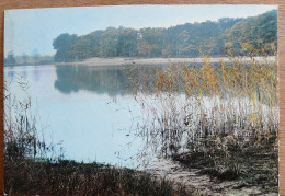 LINGE 36220 L'ETANG DE LA GABRIERE - Otros & Sin Clasificación