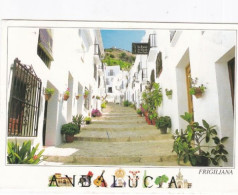 Frigiliana, Andelucia, Spain - Unused Postcard   - L Size 17x12cm  - LS3 - Andere & Zonder Classificatie