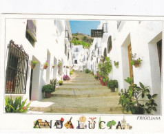 Frigiliana, Andelucia, Spain - Unused Postcard   - L Size 17x12cm  - LS3 - Otros & Sin Clasificación