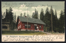 AK Gabelbach / Ilmenau, Dame In Volkstracht Vor Dem Gabelbachhäuschen  - Ilmenau