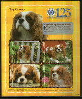 Sierra Leone 2009 Cavalier King Charles Dogs Animals Sc 2949 M/s MNH # 7993 - Chiens