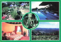 AFRIQUE DU SUD - A Stay To Remember - Centre - Elephants At Addo National Elephant Park - Rondawels - Carte Postale - Afrique Du Sud