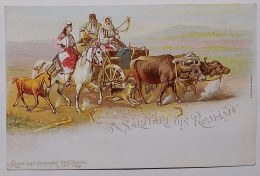 Roman Roumanie Romania / SALUTARI DIN ROMANIA / Litho - Roemenië