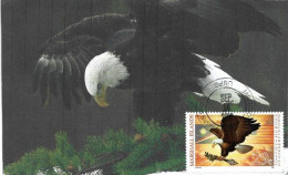 MARSHALL ISLAND: American Eagle (Bald Eagle)   MAXI-CARD From Majuro Marshall Islands - Arends & Roofvogels