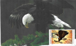 MARSHALL ISLAND: American Eagle (Bald Eagle)   MAXI-CARD From Majuro Marshall Islands - Islas Marshall