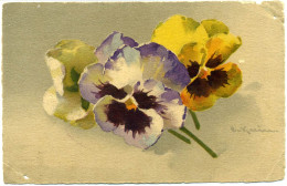 G.449  C. KLEIN - Fleurs - Pansies - Klein, Catharina