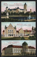 AK Posen, Kgl. Akademie, Residenzschloss Und Ansiedlungskommission  - Posen