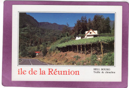 97 974 ILE DE LA REUNION Salazie  HELL BOURG  Treille De Chouchou - Autres & Non Classés