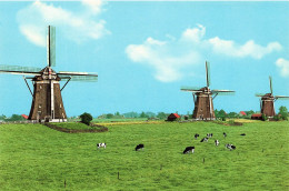 PAYS-BAS - Leidschendam / Holland - Moulins - Vaches - Paysages - Paturage - Carte Postale - Leidschendam