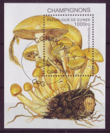 Afrique - Guinée - BLF- 1995 - Champignons - 7212 - Guinea (1958-...)