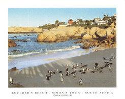 AFRIQUE DU SUD - Boulder's Beach - Simon's Town - South Africa - Johan Kloppers - Pingouin - Carte Postale - Afrique Du Sud