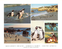 AFRIQUE DU SUD - Boulder's Beach - Simon's Town - South Africa - Johan & Fanie Kloppers - Pingouin - Carte Postale - Sud Africa