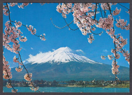 121175/ Mt. Fuji And Cherry Blossoms - Autres & Non Classés