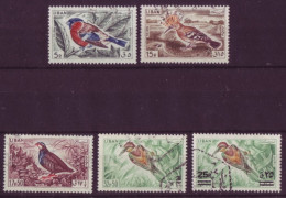 Asie - Liban - Oiseaux - 5 Timbres Différents - 7217 - Libano