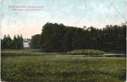 Friedrichsruh - Park Mit Schloss - Friedrichsruh