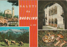 SALUTI DA BAGOLINO VEDUTINE VIAGGIATA - Brescia