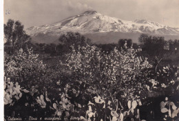 Cartolina Catania - Etna E Mandorlo In Fiore - Catania