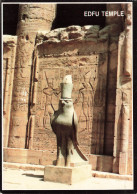 EGYPTE - Edfu Temple - The Statue Of Hourus - Statue - Carte Postale - Idfu