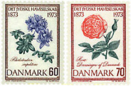 96023 MNH DINAMARCA 1973 CENTENARIO DE LA SOCIEDAD HORTICOLA DE JUTLANDIA - Ungebraucht