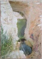 AVDATH SPRING DEAD SEA NEGEV DESERT CARTE POSTALE POSTCARD ISRAEL PC KARTE ANSICHTSKARTE CARD PHOTO POSTKARTE CARTOLINA - Israel