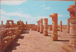 ISRAEL JUDEAN DESERT NEGEV AVDAT NABATEAN VILLAGE CHURCH THEODORUS POSTCARD ISRAEL PC CPM KARTE ANSICHTSKARTE CARD PHOTO - Israël