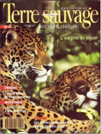 TERRE SAUVAGE N° 31 Animaux Jaguard Orque Moustiques Géographie Inde Dolomites - Animales