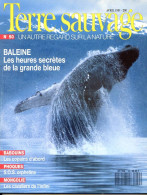 TERRE SAUVAGE N° 50 Animaux Baleine , Babouins , Phoques , Coccinelles Géographie Mongolie Etna - Animaux