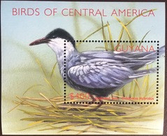 Guyana 2002 Birds Of Central America Minisheet MNH - Otros & Sin Clasificación