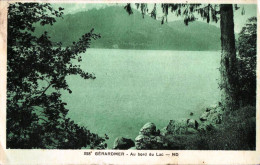 *CPA - 88 - GERARMER - Au Bord Du Lac - Gerardmer