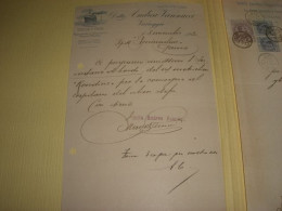 DOCUMENTO  1920 DITTA ANDREA VANNUCCI - Historische Dokumente