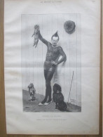 1884  APRES LA LECON Tableau Gravure De M Alexandre-Jacques Chantron NANTES  Chat Chien Cirque Clown - Prenten & Gravure